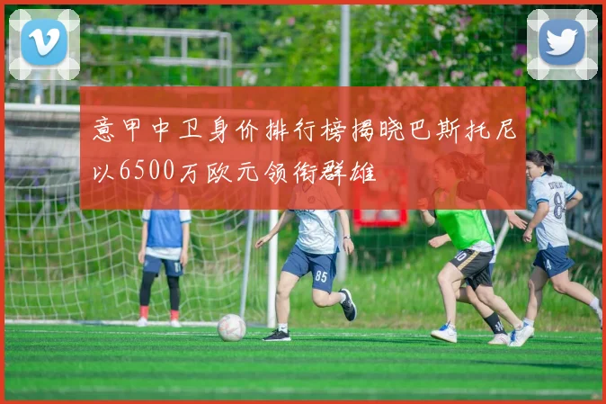 意甲中卫身价排行榜揭晓巴斯托尼以6500万欧元领衔群雄